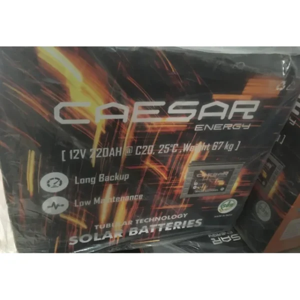 CAESAR 220Ah Tall Tubular Battery | India Battery
